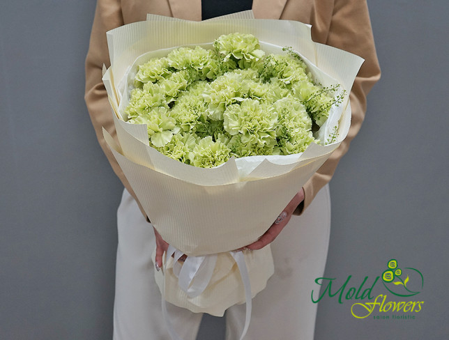 Bouquet of green carnations photo